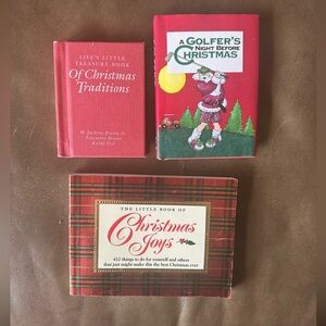 3 Christmas themed little books